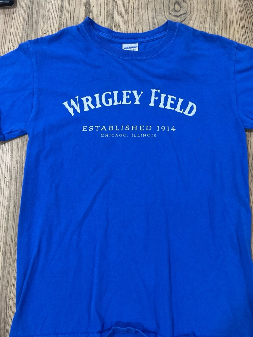 Gildan Royal Blue Wrigley Field Graphic Tee